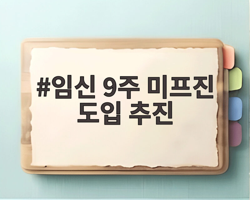 임신 9주 미프진 도입 추진, 내년 1분기 시행 전 알아야 할 점 1 임신 9주 미프진 도입 추진