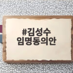 김성수 임명동의안 국회 통과로 현 정부 첫 대법관 탄생 의미 김성수 임명동의안