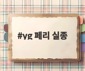 yg 페리 실종