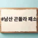 남산 곤돌라 패소 항소심도 패소 서울시는 대법원 상고를 검토한다 남산 곤돌라 패소