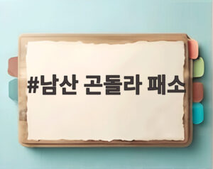 남산 곤돌라 패소