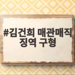 김건희 매관매직 징역 구형 항소심에서도 7년 구형에 눈물의 최후진술 김건희 매관매직 징역 구형