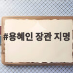 용혜인 장관 지명 의원직 겸직 논란 무엇이 문제인가 용혜인 장관 지명