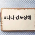 나나 강도상해 사건, 항소심에서도 징역 10년 구형... 검찰의 이유 나나 강도상해