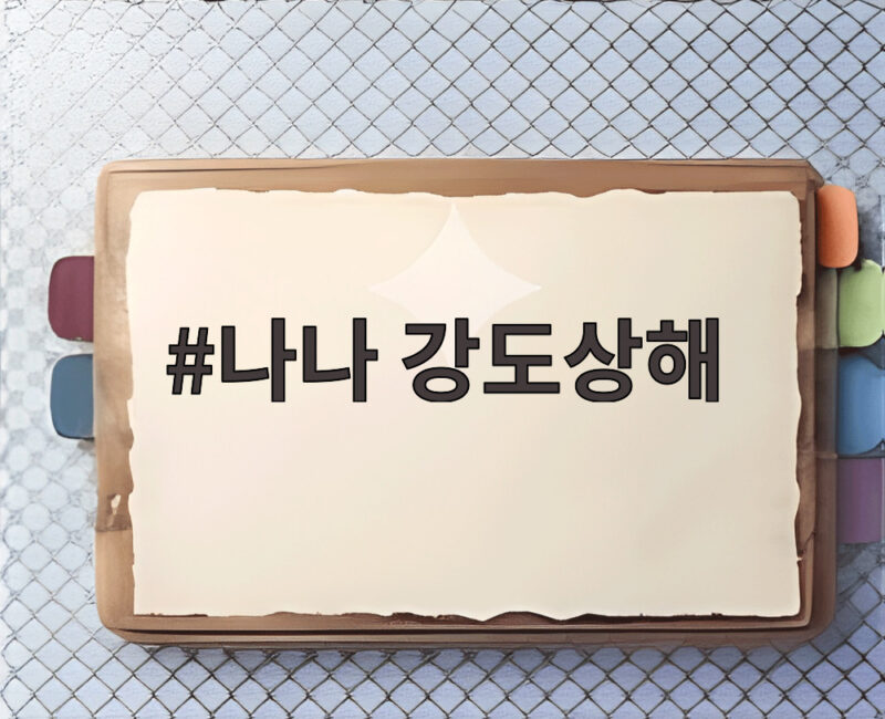 나나 강도상해 사건, 항소심에서도 징역 10년 구형... 검찰의 이유 1 나나 강도상해