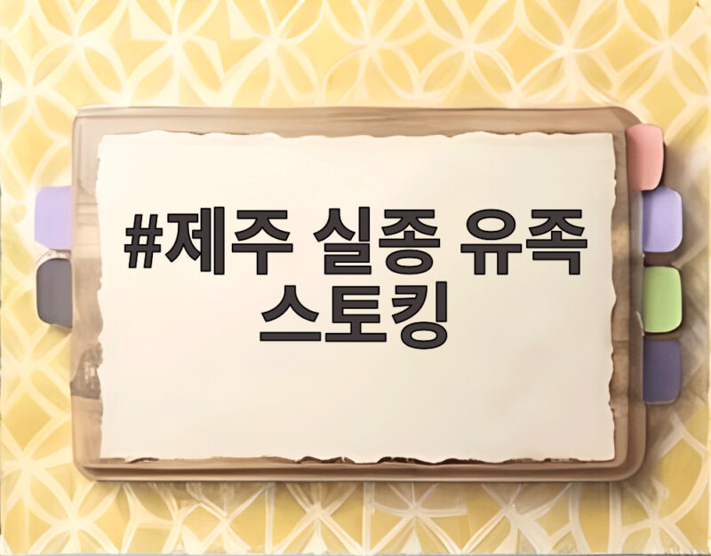 제주 실종 유족 스토킹