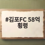 김포FC 58억 횡령 사건 회계직원 구속 충격적 전말 공개 김포FC 58억 횡령