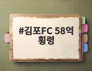 김포FC 58억 횡령