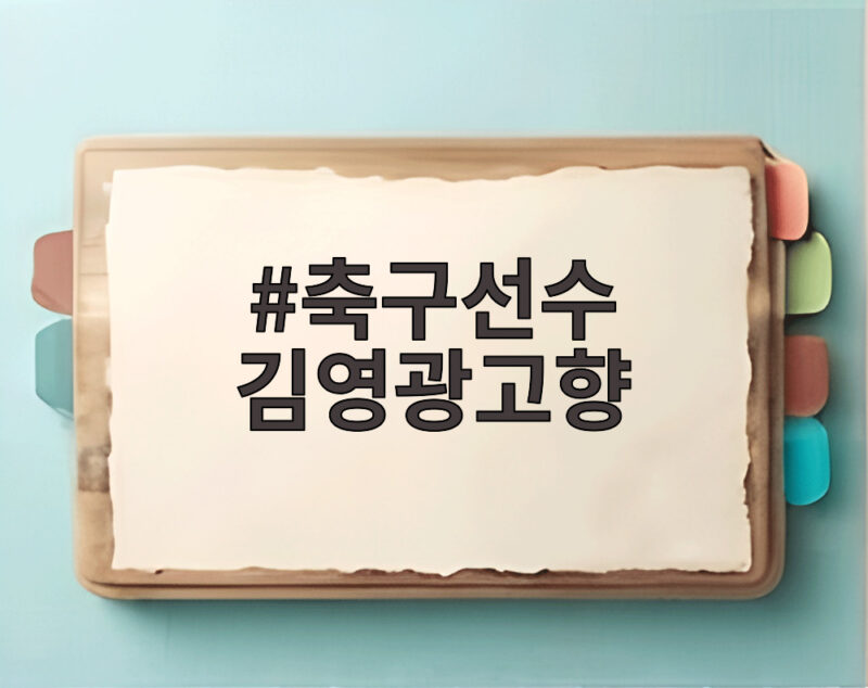 축구선수 김영광고향