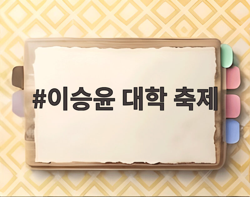 이승윤 대학 축제 접수 가천대부터 중앙대 서울예대까지 라이브 열전 1 이승윤 대학 축제