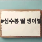 심수봉 딸 생이별 가슴 아픈 사연과 노래 아이야 이야기 심수봉 딸 생이별