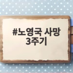 노영국 사망 3주기 효심이네 각자도생 출연 중 전해진 비보 노영국 사망 3주기