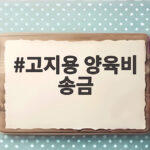 고지용 양육비 송금, 모친 명의 326만원 지급 둘러싼 진실과 갈등 고지용 양육비 송금