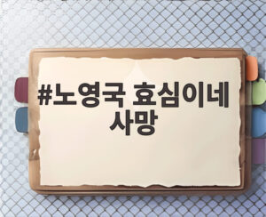 노영국 효심이네 사망