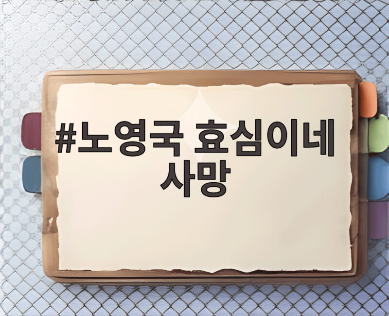 노영국 효심이네 사망 3주기, 심장마비로 떠난 74세의 마지막 드라마 1 노영국 효심이네 사망
