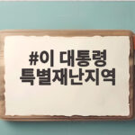 이 대통령 특별재난지역
