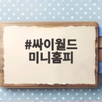 싸이월드 미니홈피 BGM이 20년 만에 공연장 떼창으로 부활했다 싸이월드 미니홈피