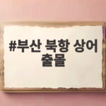 부산 북항 상어 출몰 소식에 해경이 출동한 이유와 안전 대응 부산 북항 상어 출몰