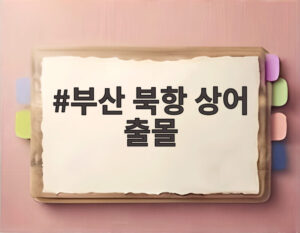 부산 북항 상어 출몰