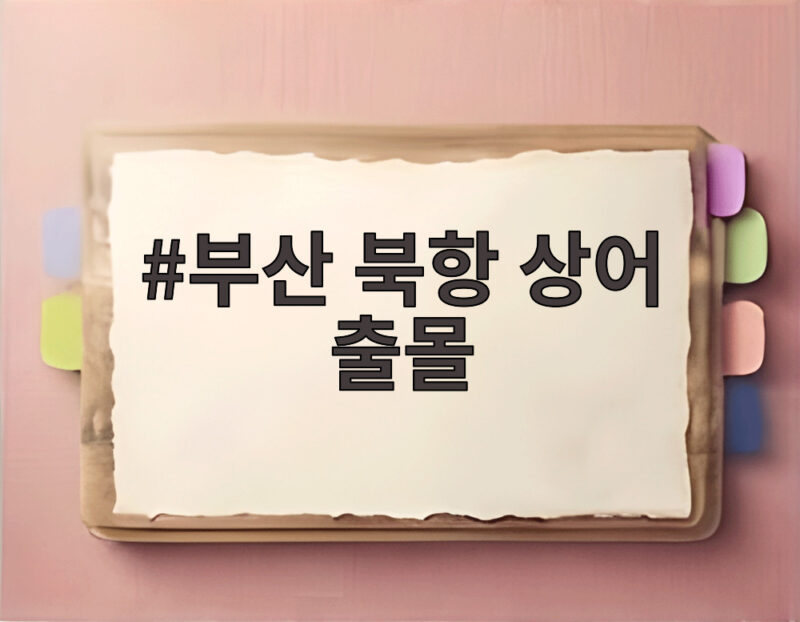부산 북항 상어 출몰 소식에 해경이 출동한 이유와 안전 대응 1 부산 북항 상어 출몰