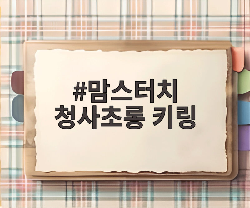 맘스터치 청사초롱 키링 한정판 세트로 가을 행운 담아보세요 1 맘스터치 청사초롱 키링