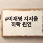 이재명 지지율 하락 원인
