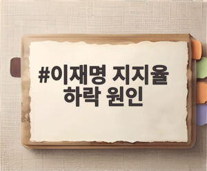 이재명 지지율 하락 원인