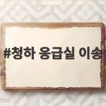청하 응급실 이송 새벽 건강 이상으로 경기대 축제 무대 불참 소식 청하 응급실 이송