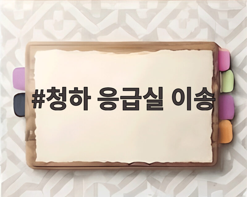 청하 응급실 이송 새벽 건강 이상으로 경기대 축제 무대 불참 소식 1 청하 응급실 이송