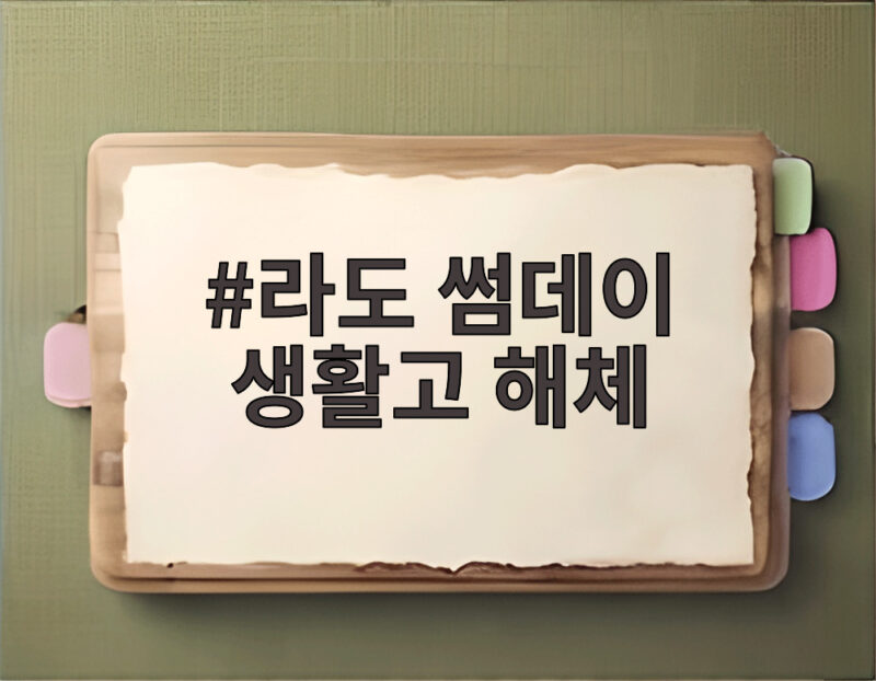 라도 썸데이 생활고 해체