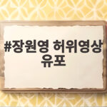 장원영 허위영상 유포