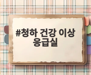 청하 건강 이상 응급실
