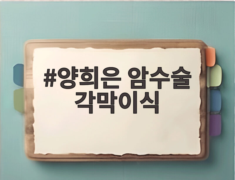 양희은 암수술 각막이식 4월과 6월 두 차례 수술 고백 1 양희은 암수술 각막이식