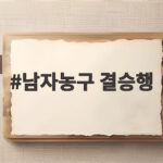 남자농구 결승행 이란을 77대51로 꺾고 12년 만에 금메달 도전 남자농구 결승행