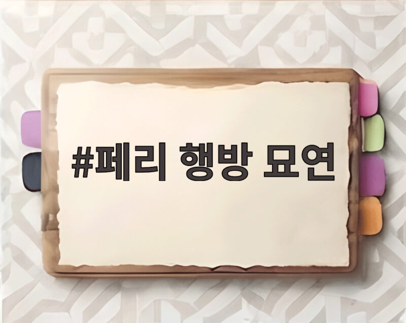 페리 행방 묘연 16년째 이어지는 실종 미스터리 그알이 직접 나섰다 1 페리 행방 묘연
