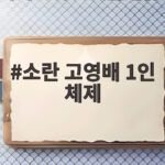 소란 고영배 1인 체제 새 EP 레이어로 보여준 음악적 변화 소란 고영배 1인 체제