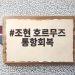 조현 호르무즈 통항회복