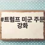 트럼프 미군 주둔 강화 그린란드 통제권 확보 의미와 전망 트럼프 미군 주둔 강화