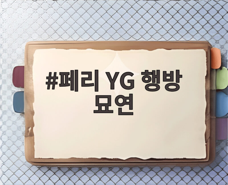 페리 YG 행방 묘연 16년째 추적하는 그알 제보 요청 이유 1 페리 YG 행방 묘연