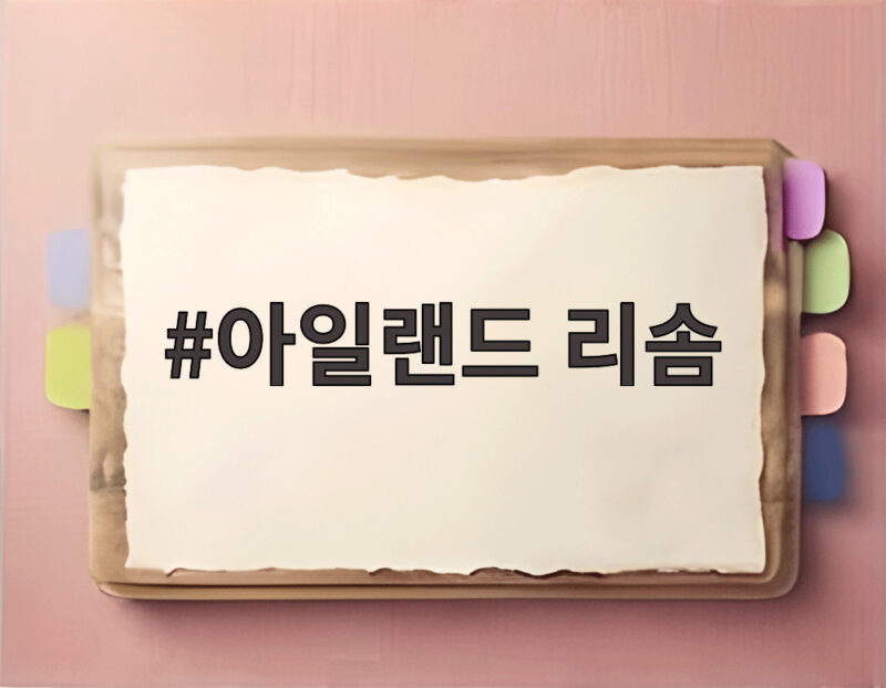 아일랜드 리솜에서 자립캠프와 노조 계약 논란까지 궁금한 점을 팩트체크해봤다 1 아일랜드 리솜