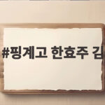 핑계고 한효주 김 품절 대란 그후 박보영도 구매 힘들어졌다 핑계고 한효주 김