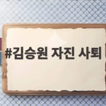 김승원 자진 사퇴가 남긴 진실 한동훈의 승리 선언과 검찰 개혁의 향방 김승원 자진 사퇴