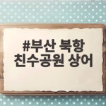 부산 북항 친수공원 상어 출몰 이틀째 시민 반응과 해경 대응 확인 부산 북항 친수공원 상어