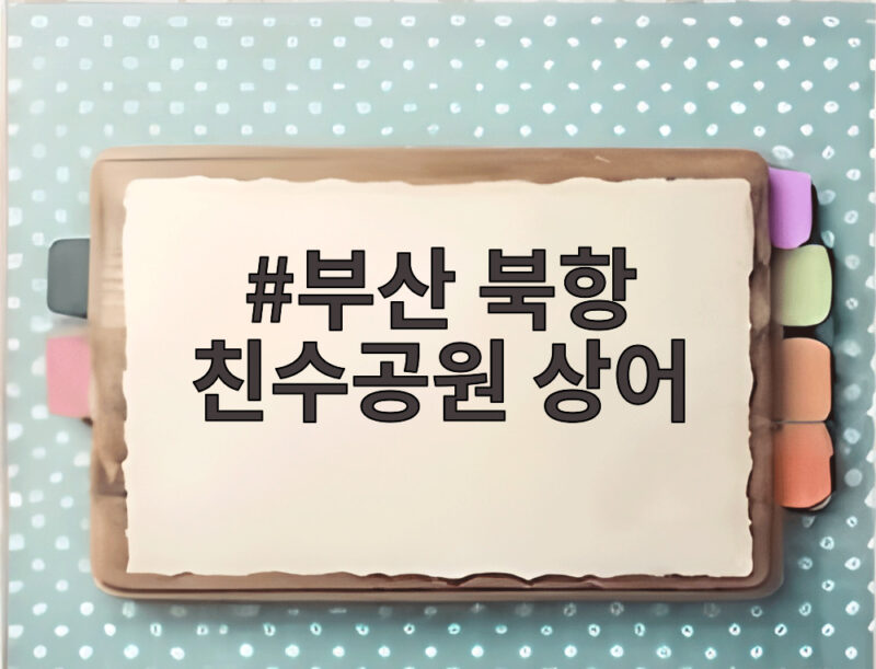 부산 북항 친수공원 상어 출몰 이틀째 시민 반응과 해경 대응 확인 1 부산 북항 친수공원 상어