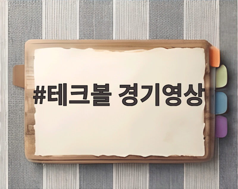 테크볼 경기영상