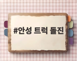 안성 트럭 돌진