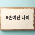 손예진 나이 몇 살인지 비서진 이서진 칭찬과 스캔들 연기로 관심 손예진 나이