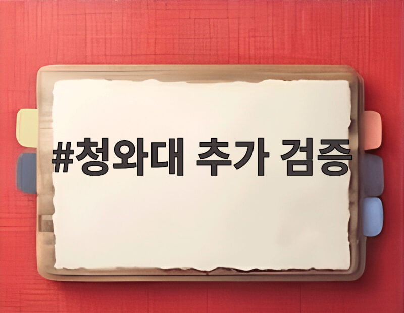 청와대 추가 검증