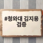 청와대 김지용 검증 추가 검증 소식과 향후 일정 궁금증 정리 청와대 김지용 검증