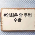 양희은 암 투병 수술 뒤늦은 고백과 두 번의 수술 이야기 양희은 암 투병 수술